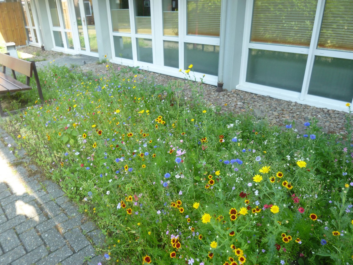Archivmeldungen 2019 - Pauline-Ahlsdorff-Haus
